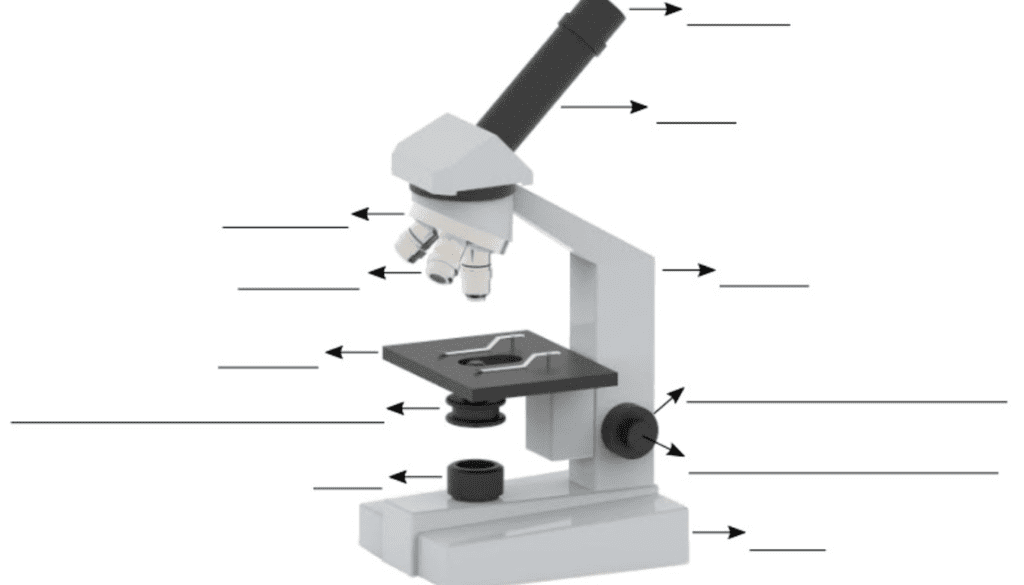 partes del microscopio material educativo