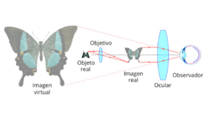 Esquema de funcionamiento de un microscopio considerando una lente objetivo y una lente ocular